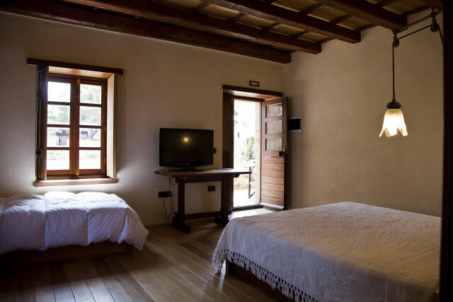 Triple Room photo 5