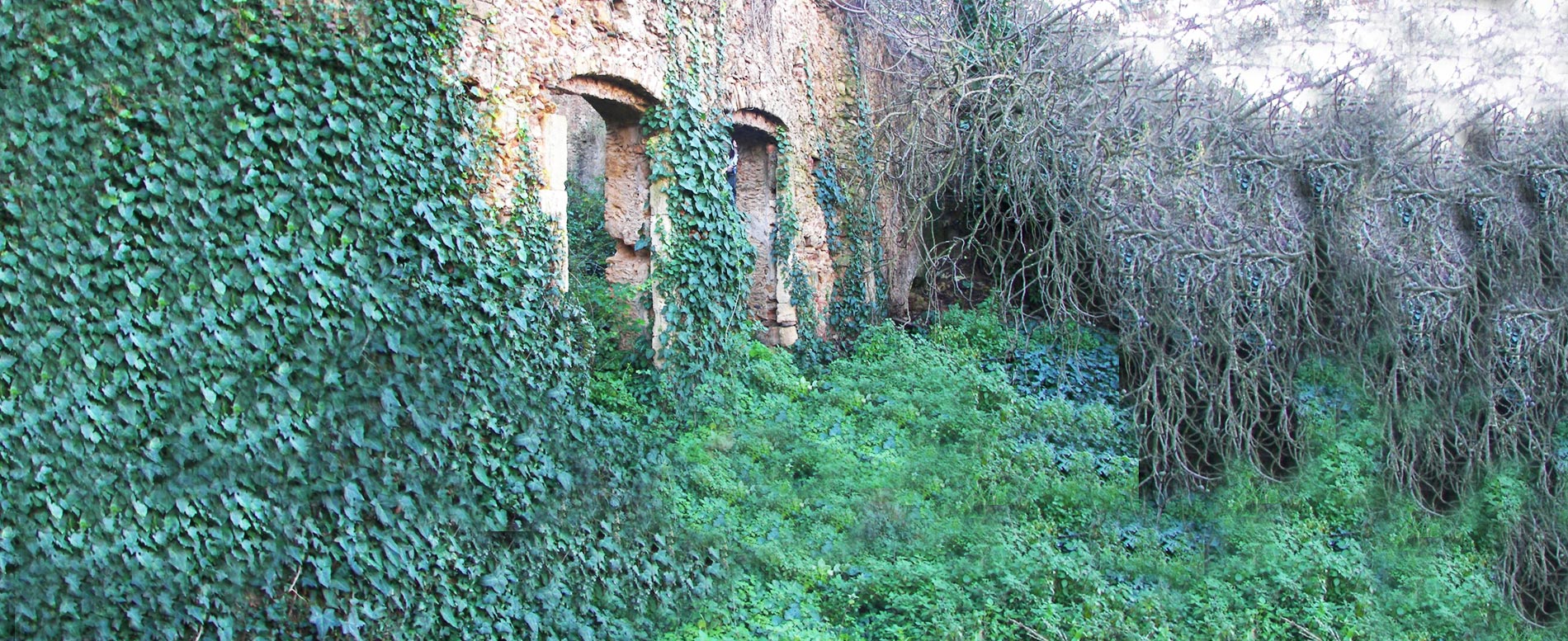 Watermill at Talanta 2