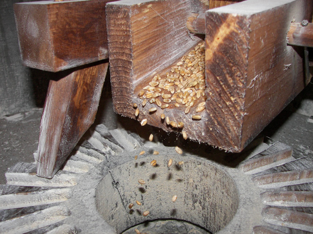 Watermill at Talanta 3